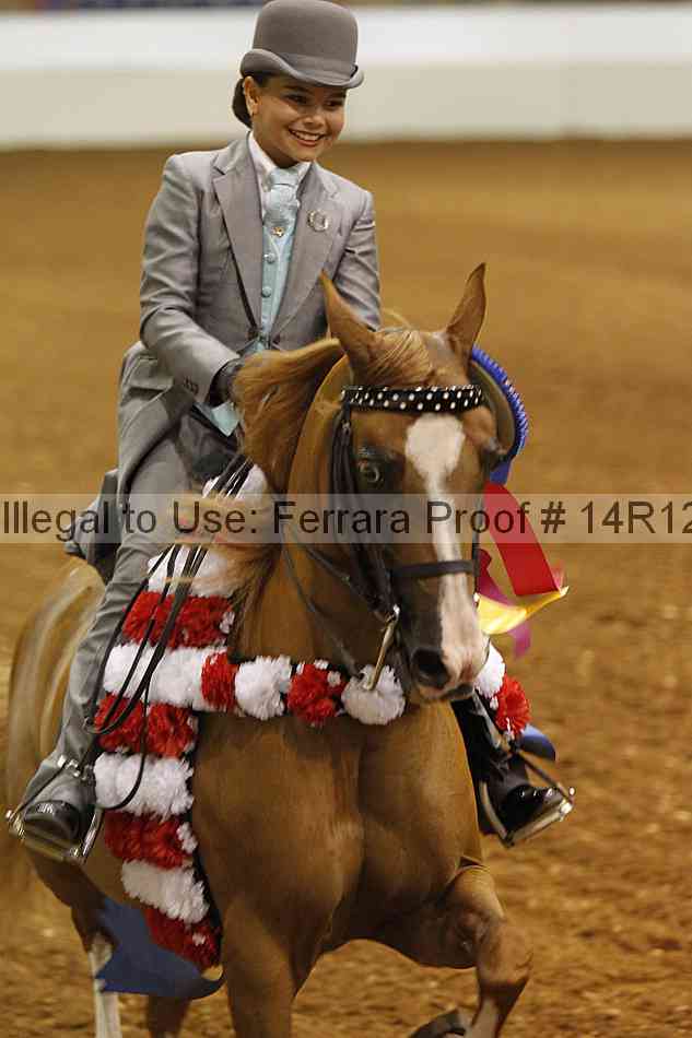 Proof 14r12_7441