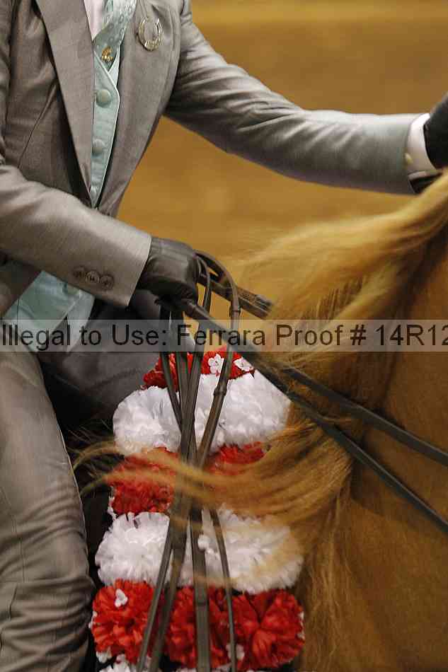 Proof 14r12_7442