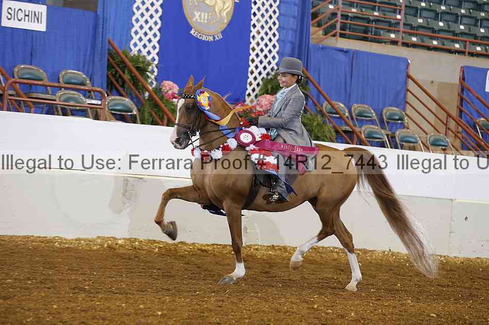 Proof 14r12_7443