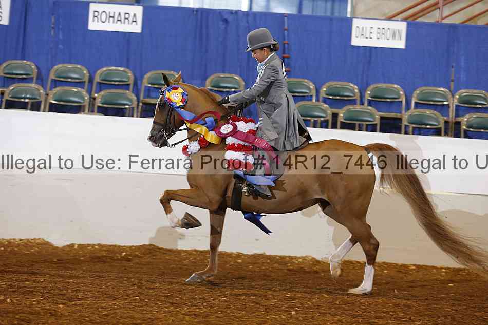 Proof 14r12_7446