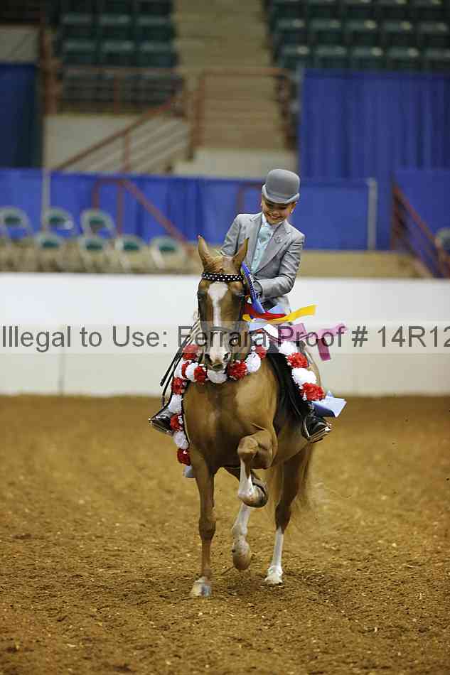Proof 14r12_7447