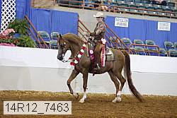 14r12_7463 proof