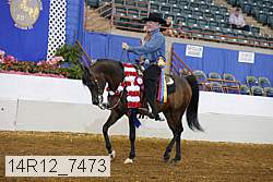 14r12_7473 proof