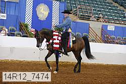 14r12_7474 proof