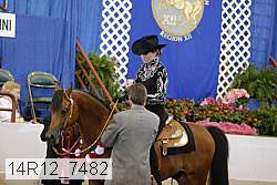 14r12_7482 proof