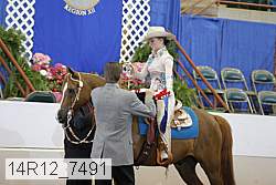 14r12_7491 proof