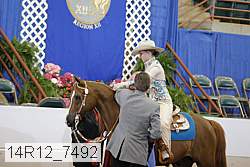 14r12_7492 proof