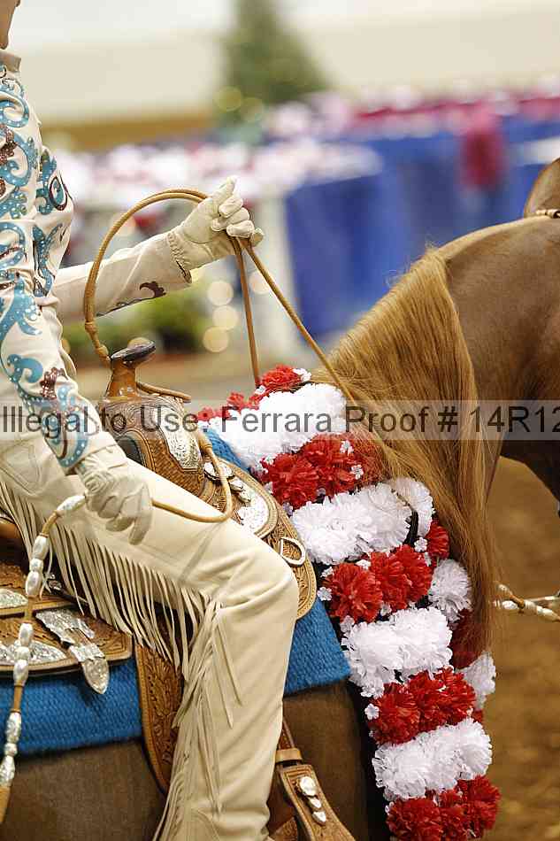 Proof 14r12_7497