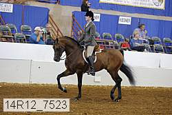 14r12_7523 proof