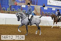 14r12_7524 proof