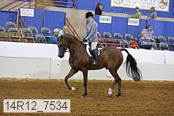14r12_7534 proof