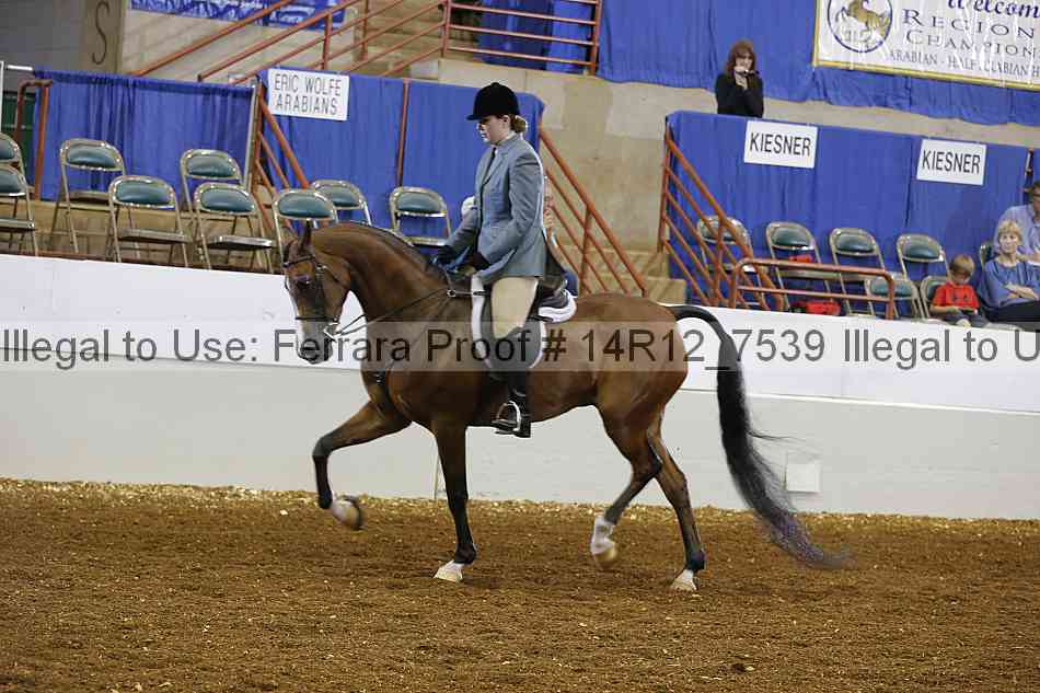 Proof 14r12_7539