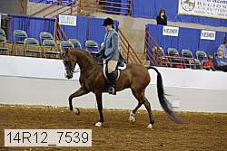 14r12_7539 proof