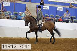 14r12_7541 proof
