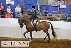 14r12_7550 proof