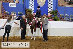 14r12_7567 proof