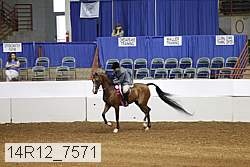 14r12_7571 proof