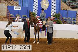 14r12_7581 proof