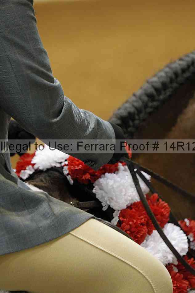 Proof 14r12_7587