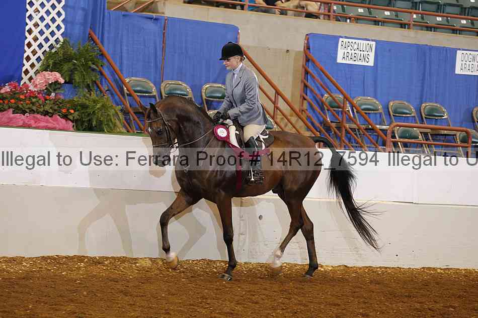 Proof 14r12_7594
