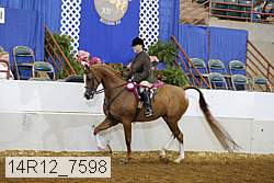 14r12_7598 proof