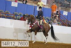 14r12_7600 proof