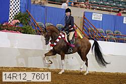 14r12_7601 proof
