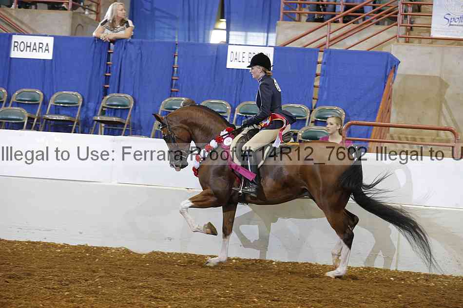 Proof 14r12_7602