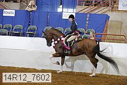 14r12_7602 proof