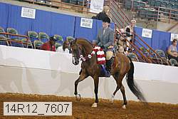14r12_7607 proof