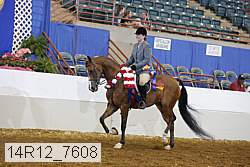 14r12_7608 proof