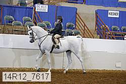 14r12_7617 proof