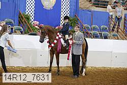 14r12_7631 proof