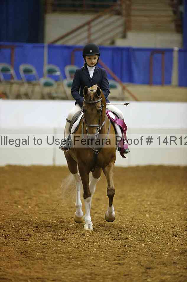 Proof 14r12_7647