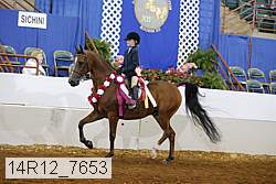 14r12_7653 proof