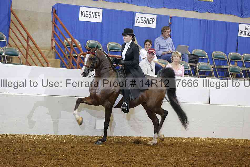 Proof 14r12_7666