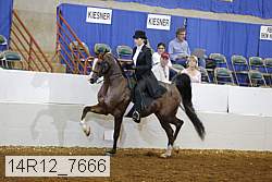 14r12_7666 proof