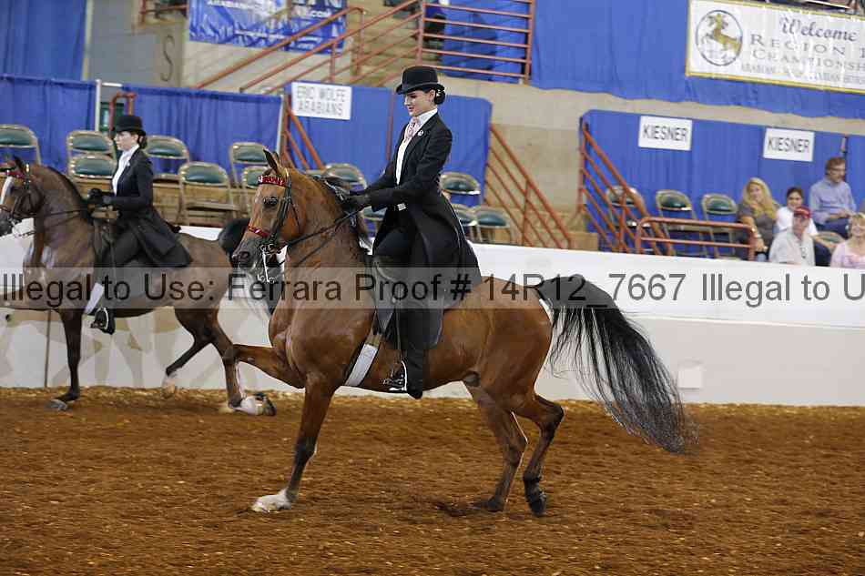 Proof 14r12_7667