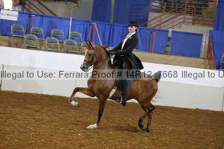 Proof 14r12_7668