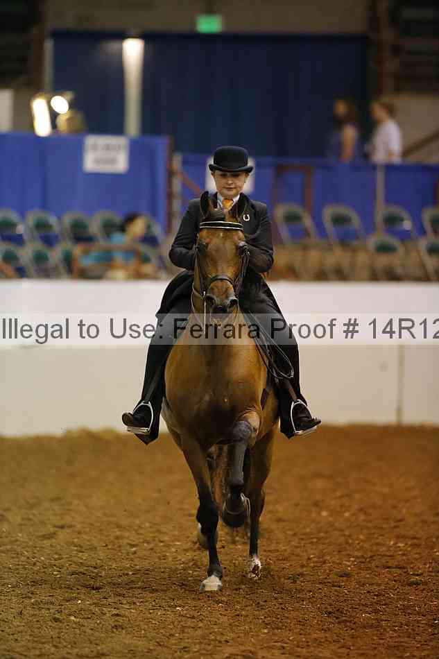 Proof 14r12_7669