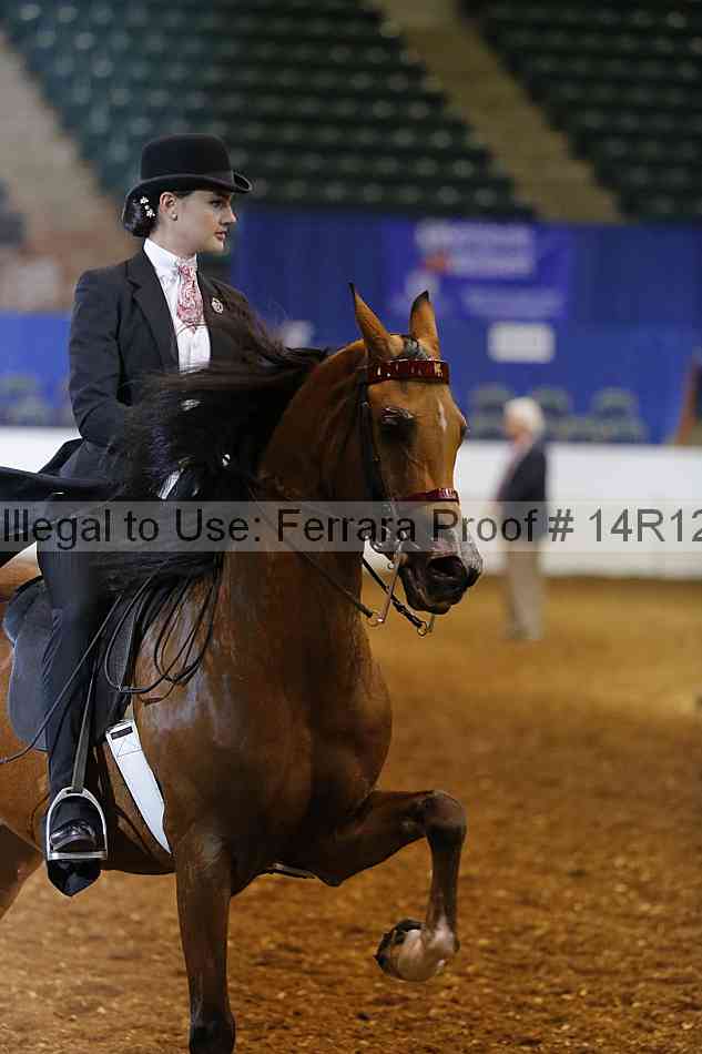 Proof 14r12_7678