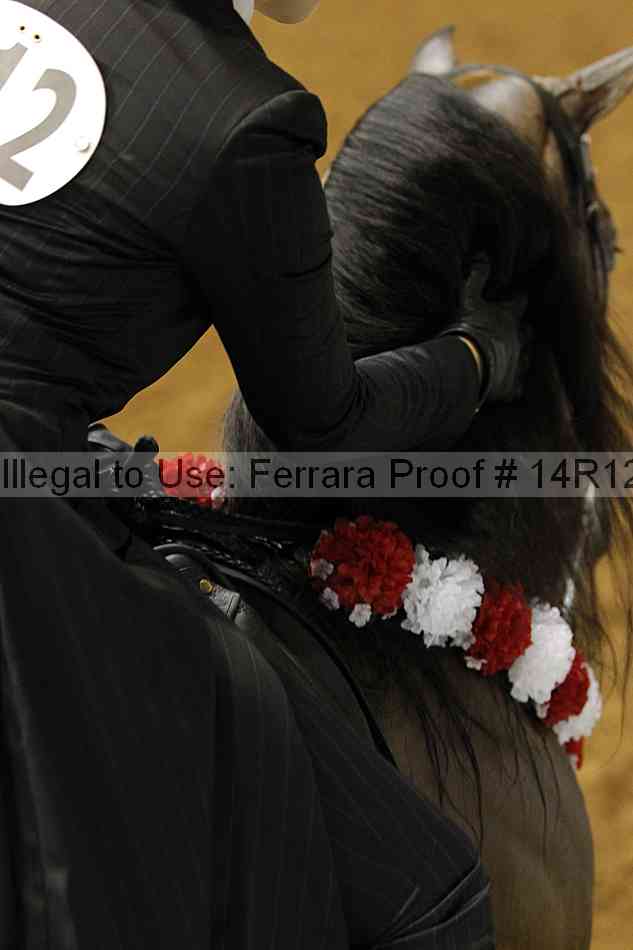 Proof 14r12_7694