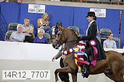14r12_7707 proof