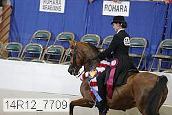 14r12_7709 proof