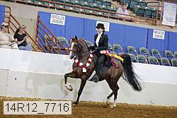 14r12_7716 proof