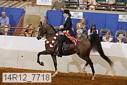 14r12_7718 proof