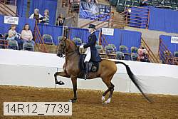 14r12_7739 proof