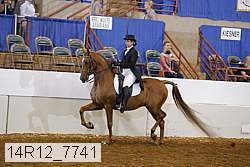 14r12_7741 proof