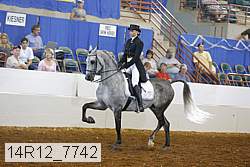 14r12_7742 proof