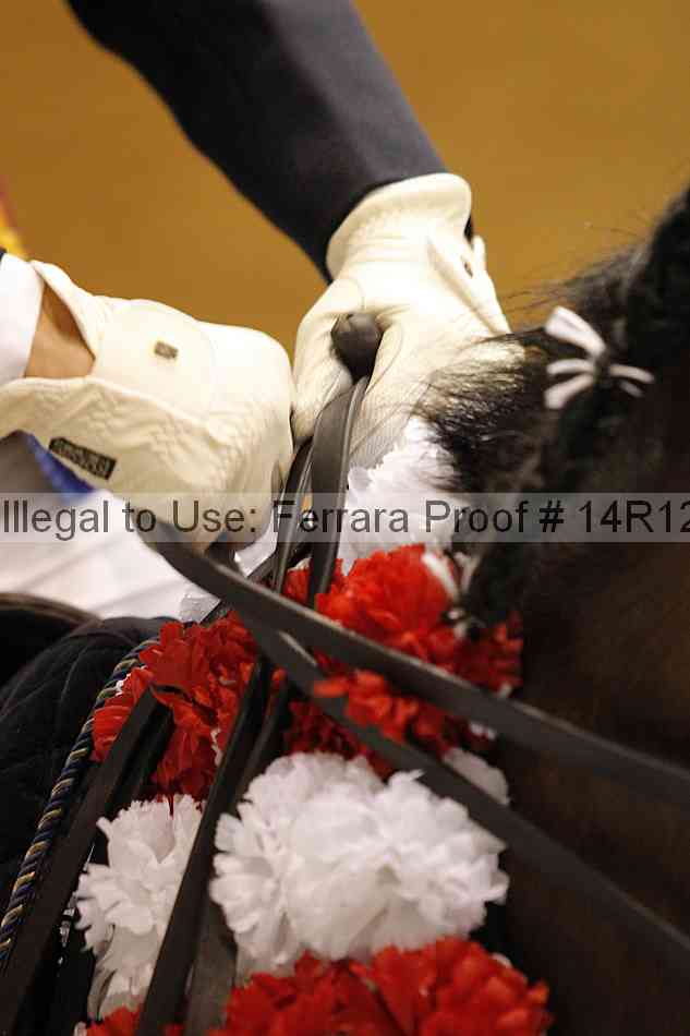 Proof 14r12_7767